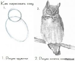 10 твоих коронных номеров