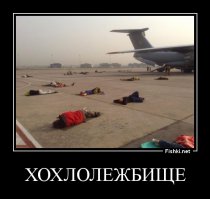 Спящий Шкиряк взорвал соцсети: фотожабы