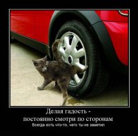  Китайские сенсации: защита покрышек