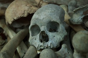 "Балки со временем сгнивают, гробы срываются и разбиваются об землю.Судя по кладбищу, которое мне довелось посетить дважды, местных жителей сей факт не сильно смущает, ведь черепа и кости потом просто складывают в общие кучки."