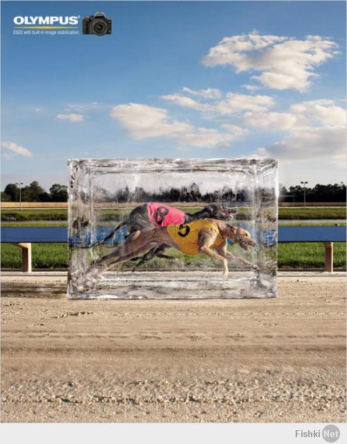 нашел:)
это реклама фотоаппарата Olympus E-620
Вот оригинал постера и еще парочка из той же серии: