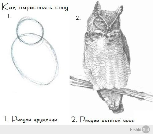 Пост из серии "Как нарисовать сову"