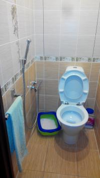 Ну вот вам вариант, как мыть жопу после сраки в раздельном туалете–ванная: