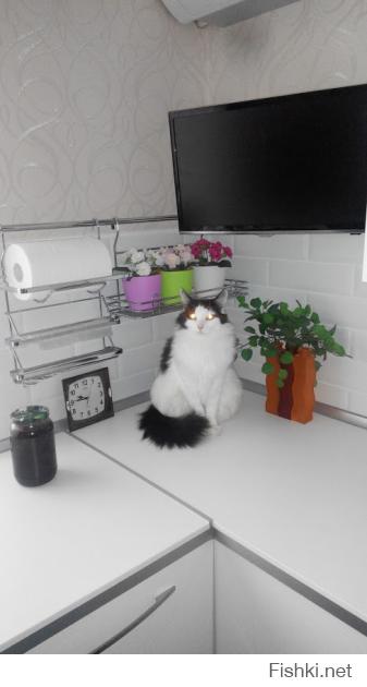 Мы с супругой долго перебирали всякие варианты различных сочетаний цветов и в итоге остановились на бело-черном варианте. Вот буквально месяц назад забил последний гвоздь:) Получилось как-то так: