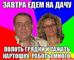 В 2015 году самый недорогой отдых будет на даче