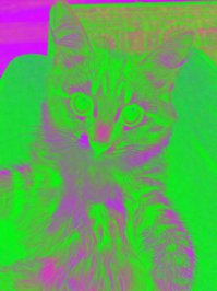 Ну да, какие-то оттенки зеленого просматриваются