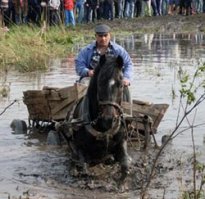 Телега с лошадью тоже выглядит красиво, стильно и элегантно, а уж проходимость у нее - куда там всяким копейкам