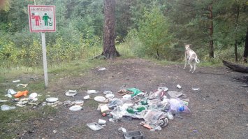 Пассаж про общество потребления тут вообще не в тему. Просто в России есть такой древний обычай - устраивать свалку мусора под табличкой "Свалка мусора запрещена. Штраф 100500 руб".
Вот, например, зона отдыха в г. Владимире