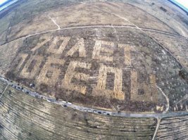 В Воронежской области высажены деревья в виде надписи «70 лет Победы»
Масштабная акция по посадке деревьев в рамках национального проекта «Лес Победы», приуроченного к 70-летию Победы над фашизмом, прошла в Воронежской области на Кожевенном кордоне. 
Мероприятие было широко поддержано жителями области и общественными организациями – Общероссийским общественным экологическим движением «Зеленая Россия», Российским союзом спасателей, Воронежским региональным отделением Всероссийского общественного движения «Матери России», Воронежской региональной общественной организацией «Центр экологической политики». В посадке деревьев также приняли участие руководители структурных подразделений областного правительства - заместитель губернатора - руководитель аппарата губернатора и правительства Геннадий Макин, заместитель председателя правительства – руководитель департамента имущественных и земельных отношений Максим Увайдов, руководитель департамента природных ресурсов и экологии Алексей Карякин, руководитель управления лесного хозяйства Александр Величко, сотрудники департаментов и управлений облправительства. Почетными гостями и главным участниками мероприятия стали ветераны Великой Отечественной войны. 
Как стало известно ИА «Воронеж-Медиа» из сообщения Управления по взаимодействию со СМИ и административной работе правительства Воронежской области, совместными усилиями на площади 4,8 га в виде надписи «70 лет Победы» было высажено 12 тысяч саженцев сосны. Место посадки выбрано не случайно – уже через несколько лет жители и гости из иллюминаторов самолета смогут увидеть «зеленую надпись». 
Мероприятия национального проекта «Лес Победы» проводятся на территории всех муниципальных районов области. К юбилею Победы будут заложены памятные аллеи, скверы и парки. Каждый житель региона сможет принять в них участие и посадить дерево в честь воинов и тружеников тыла, отдав тем самым дань памяти и уважения людям, внесшим свой вклад в борьбу с фашизмом.