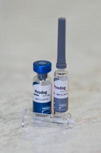 Объязательно!