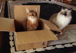 26 очень полезных штук, которые можно сделать из картона