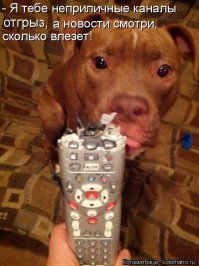 У вас будет СОБАКА  !