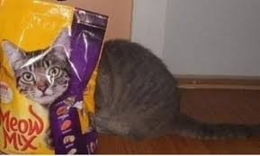 Домашним сложнее...