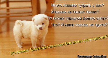 У вас будет СОБАКА  !