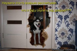 Хозяин! Ну ты не -сволочь. ? Нельзя собаке теплой тряпки жалеть.