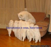 Эти 15 новорожденных малюток растопят самое черствое сердце 