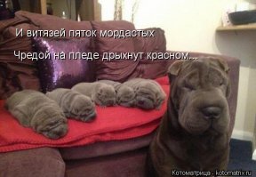 Эти 15 новорожденных малюток растопят самое черствое сердце 