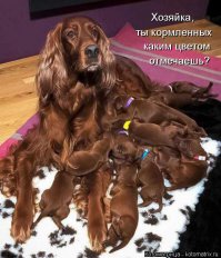 Эти 15 новорожденных малюток растопят самое черствое сердце 