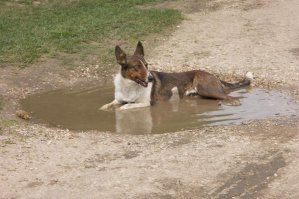 Где-то в провинции...