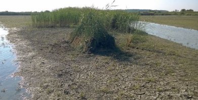 55 отчаянных фотографов, готовых на все ради удачного кадра