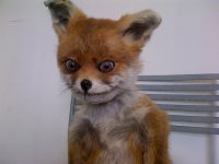 Напомнило это