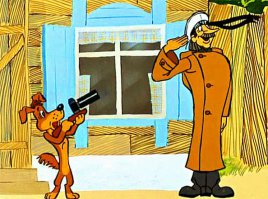 Любопытные животные и фотоаппарат