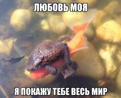 Фотоподборка за 16.04.2015