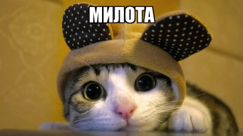 Чуть не скончался от острого приступа милоты.
