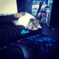 Моя красавица)))