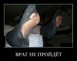 Мотиватор взять билет в плацкартный вагон