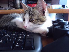 Фотоподборка за 18.05.2015