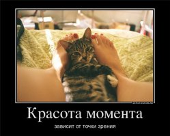  Лучшие фотографии месяца