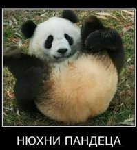 Блеф шоколадно-кровавого барона