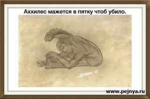Фишкина солянка за 28.05.2014 