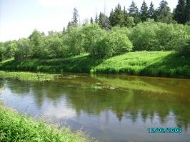 не поверите...сразу узнал по фоткам Дубну! дача у меня там Бобылино-Попадьино-Гусенки.