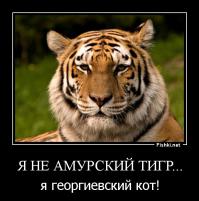 Солянка для Майдана. Часть 63