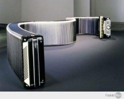 Народный опыт: безопасный и быстрый метод извлечения иксодовых клещей