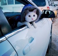 Фотоподборка за 15.05.2015