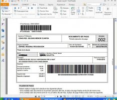 конечно дали! первую 200 не оплатила. Думала мож забудут))), прислали вторую на почту файл 10 листов с описанием закона или чего там. и среди этих листов квитанция к оплате, которую надо распечатать и оплатить в банке. Вообще не поняла как "это" оказалось у моего бухгалтера. Это она мне по почте прислала.