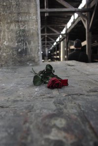 В 13 ом году приехал в Аушвиц-Биркенау. Тяжело было ходить и осознавать увиденное, как люди там выживали!! Тяжело, очень тяжело.