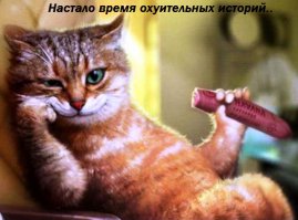 Заходят две молодые особы, лет 20-25 .... симпотишные!