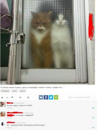 Смешные комментарии из социальных сетей 13.05.15